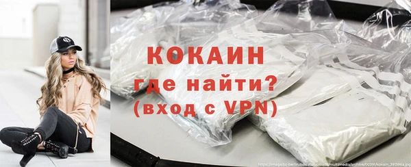 амф Дмитров