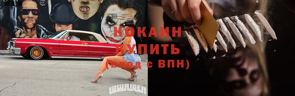 тгк Дмитровск