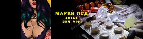амф Дмитров