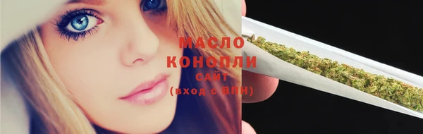 тгк Дмитровск