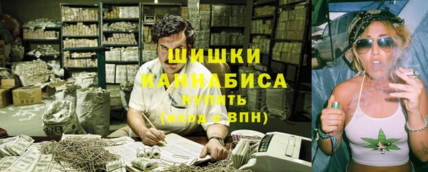 тгк Дмитровск
