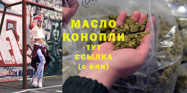 тгк Дмитровск
