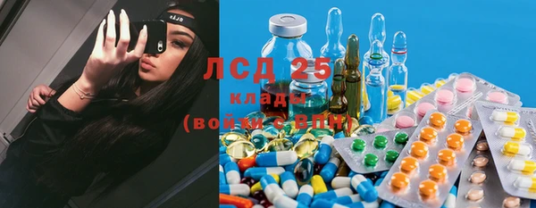 тгк Дмитровск