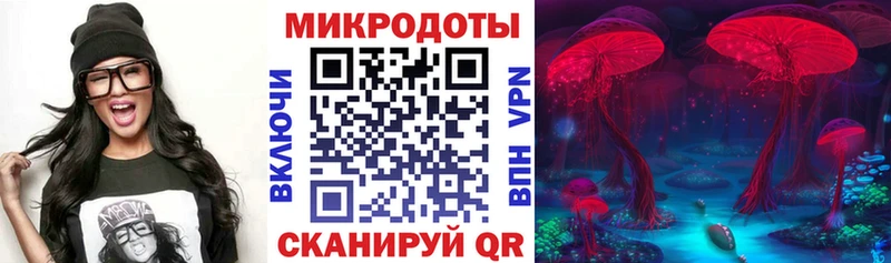 Псилоцибиновые грибы MAGIC MUSHROOMS  Купить закладки  Энем 
